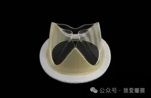Foldax Tria polymer mitral heart valve