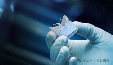 Innovative Heart Valve Technologies | Anteris Technologies