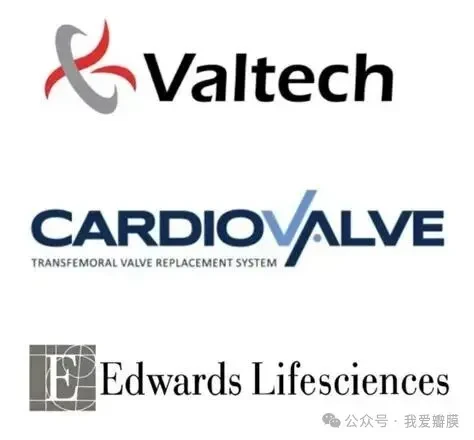 Cardiovalve、Edwards,及器械创新的一些思考