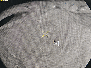 3.gif