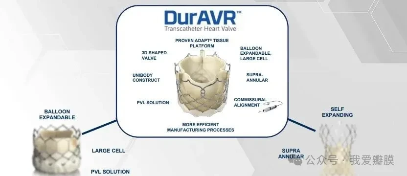 Anteris Technologies’ DurAVR heart valve tech featured at major medical ...