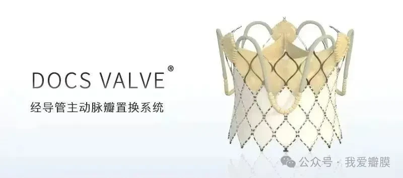 全球首个TAVR vs. SAVR治疗中高危主动脉瓣反流对照研究入组接近尾声 ! -- 严道医声网