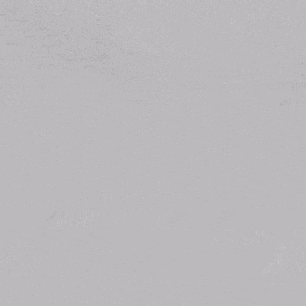 image9.gif