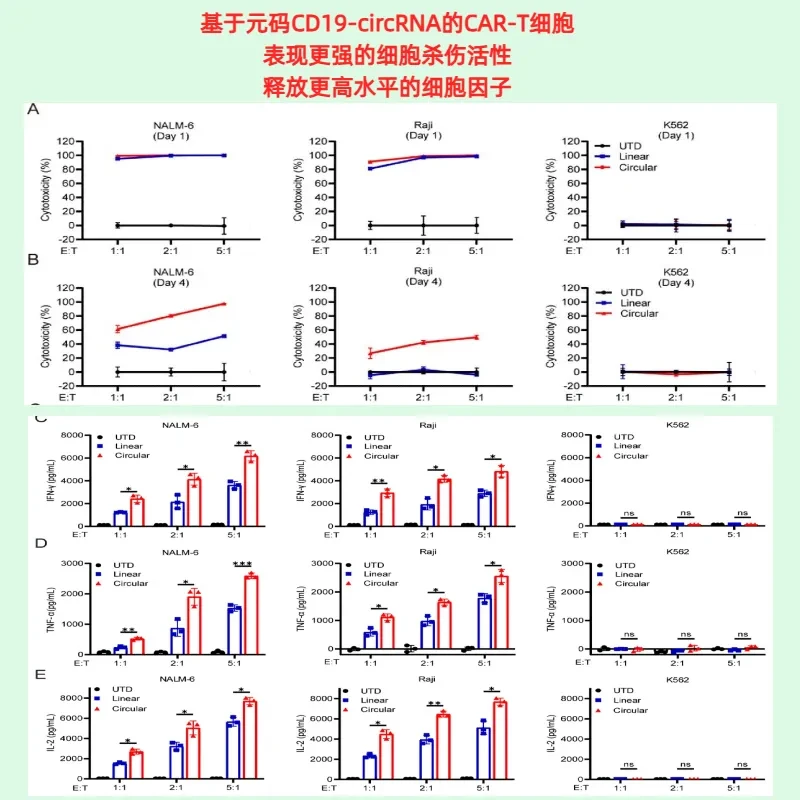 元码-体内 CAR-T (1)