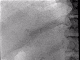 image10.gif