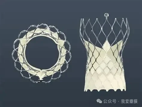 Medtronic launches off two new studies evaluating Evolut TAVR system ...