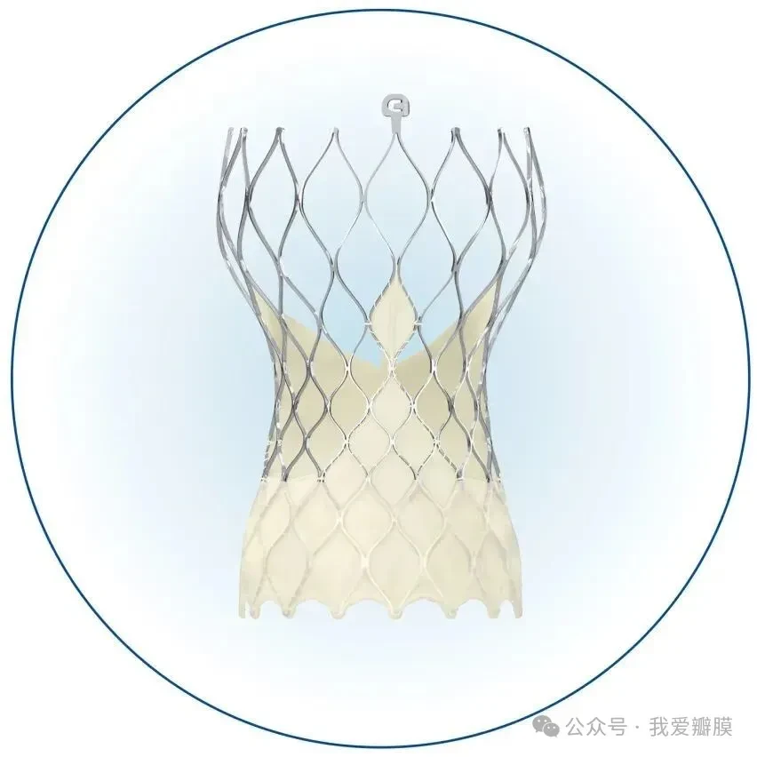 生而不凡 美力相瓣 | Evolut PRO大湾区创新联动,引领TAVR精准植入新境界 -- 严道医声网