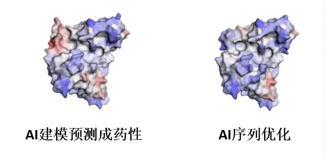 循环图-1.gif