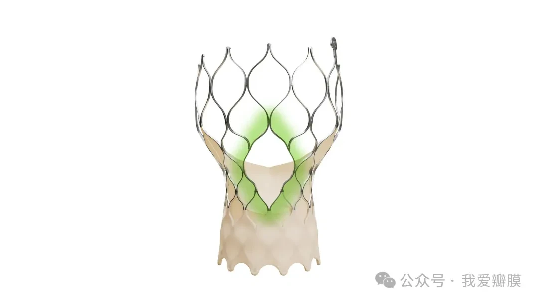 Latest-generation Evolut TAVI system gains US FDA approval ...