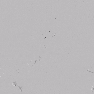 image7.gif