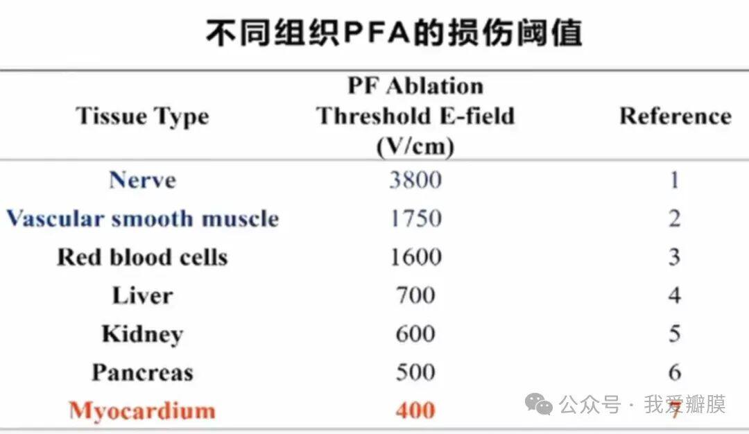 聚焦·PFA丨江洪:房颤治疗的新技术变革——脉冲电场导管消融 -- 严道医声网