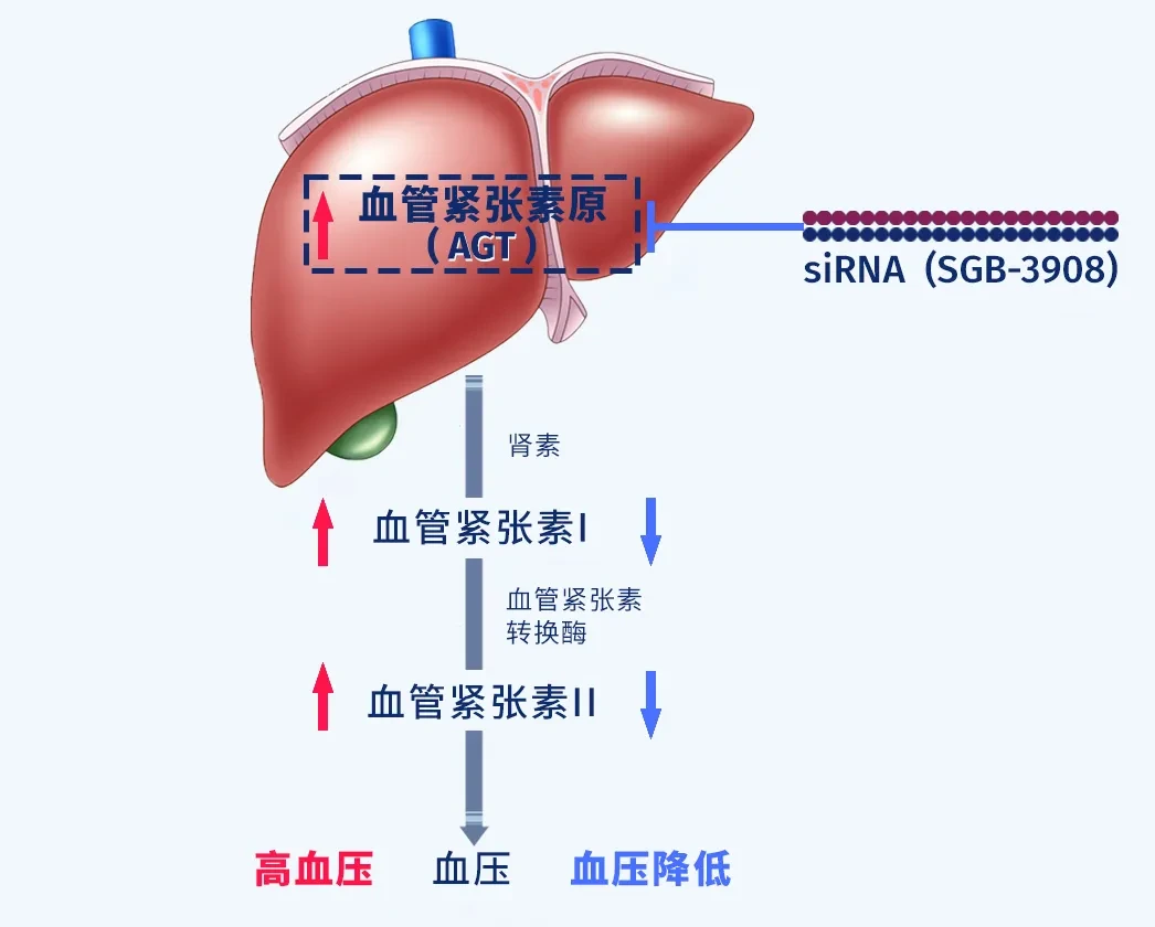 6.png 6.png