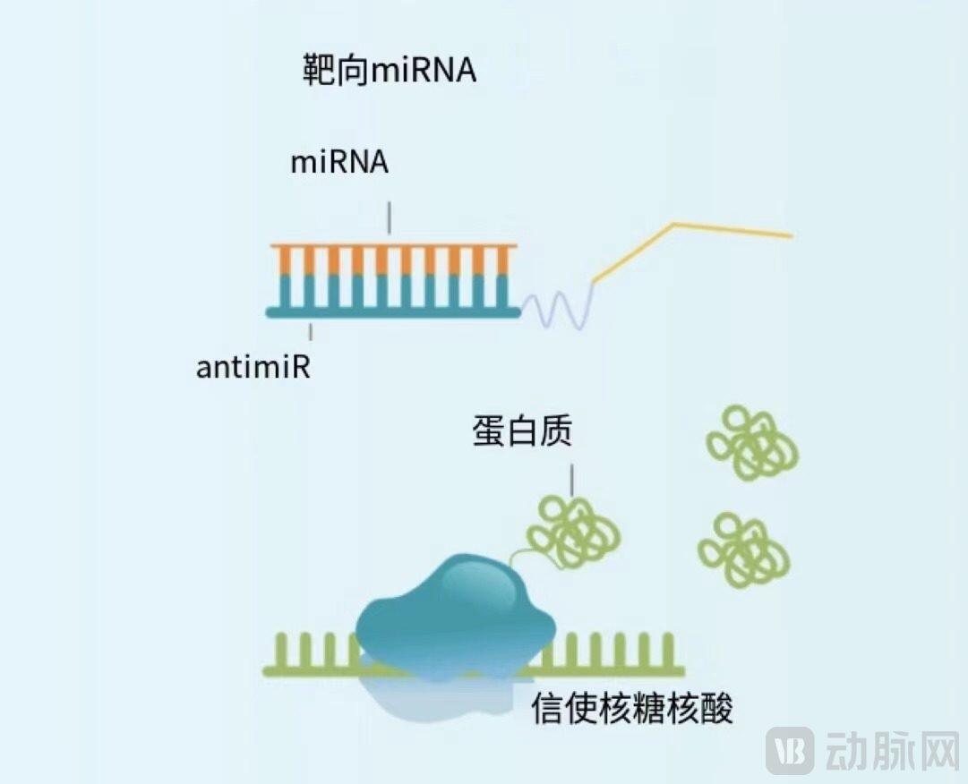 治疗原理.jpg