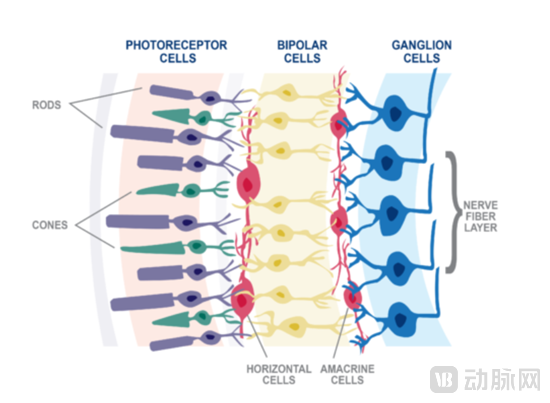 22-1.png