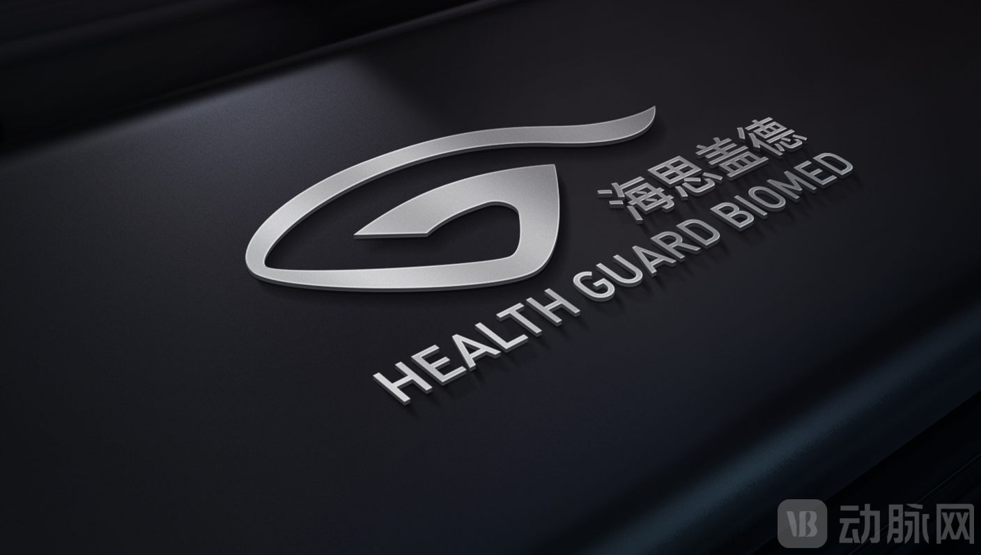 海思盖德logo原图.png