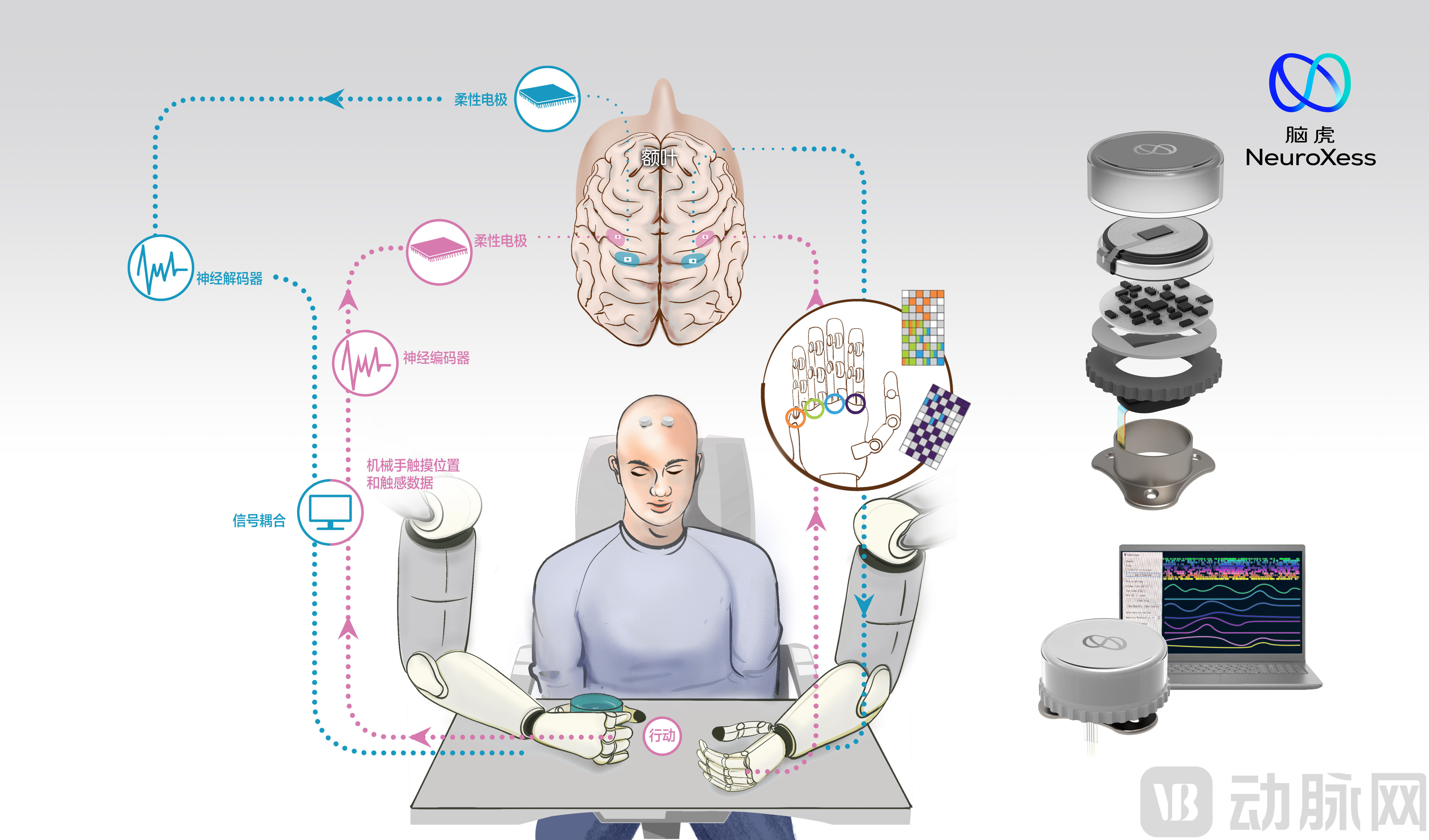 NeuroXess(脑虎)电极场景原理和产品图.jpg