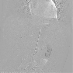 4.gif
