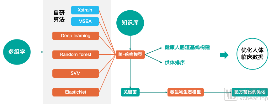 寻找关键菌.png