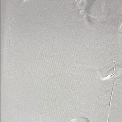 6月3日.gif