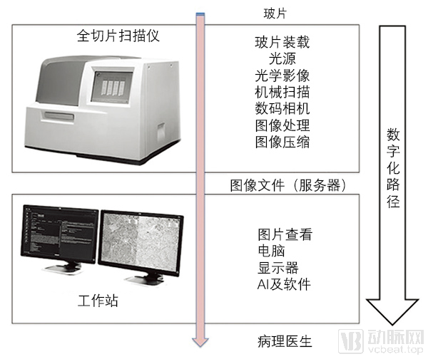路径.jpg