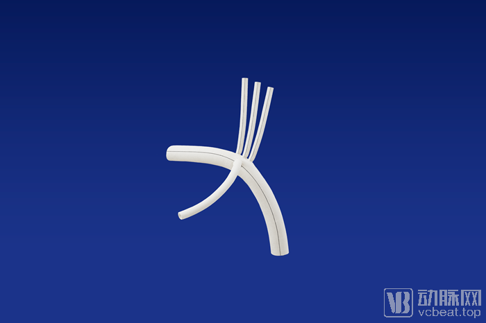 图5四分支样品.png