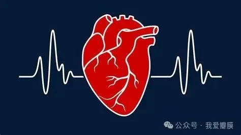 9 Essential Facts About Heart Failure | Everyday Health