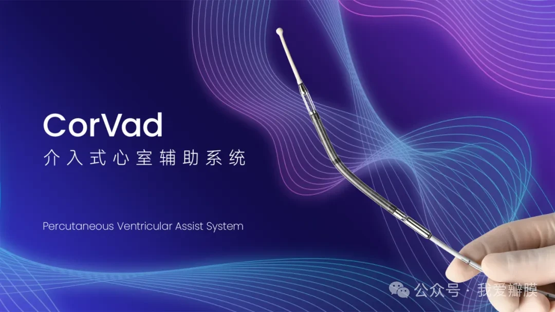 TCT 2025|西京医院心血管团队携CorVad®介入式心室辅助系统支持高危PCI研究(REC-CHIPMCS)亮相国际顶会 -- 严道医声网
