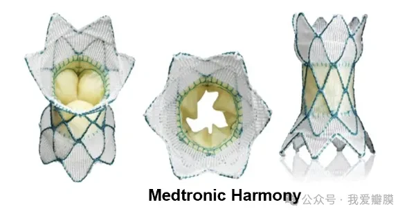全球首款！美敦力Harmony TPV瓣膜已获FDA批准|爱德华_新浪新闻