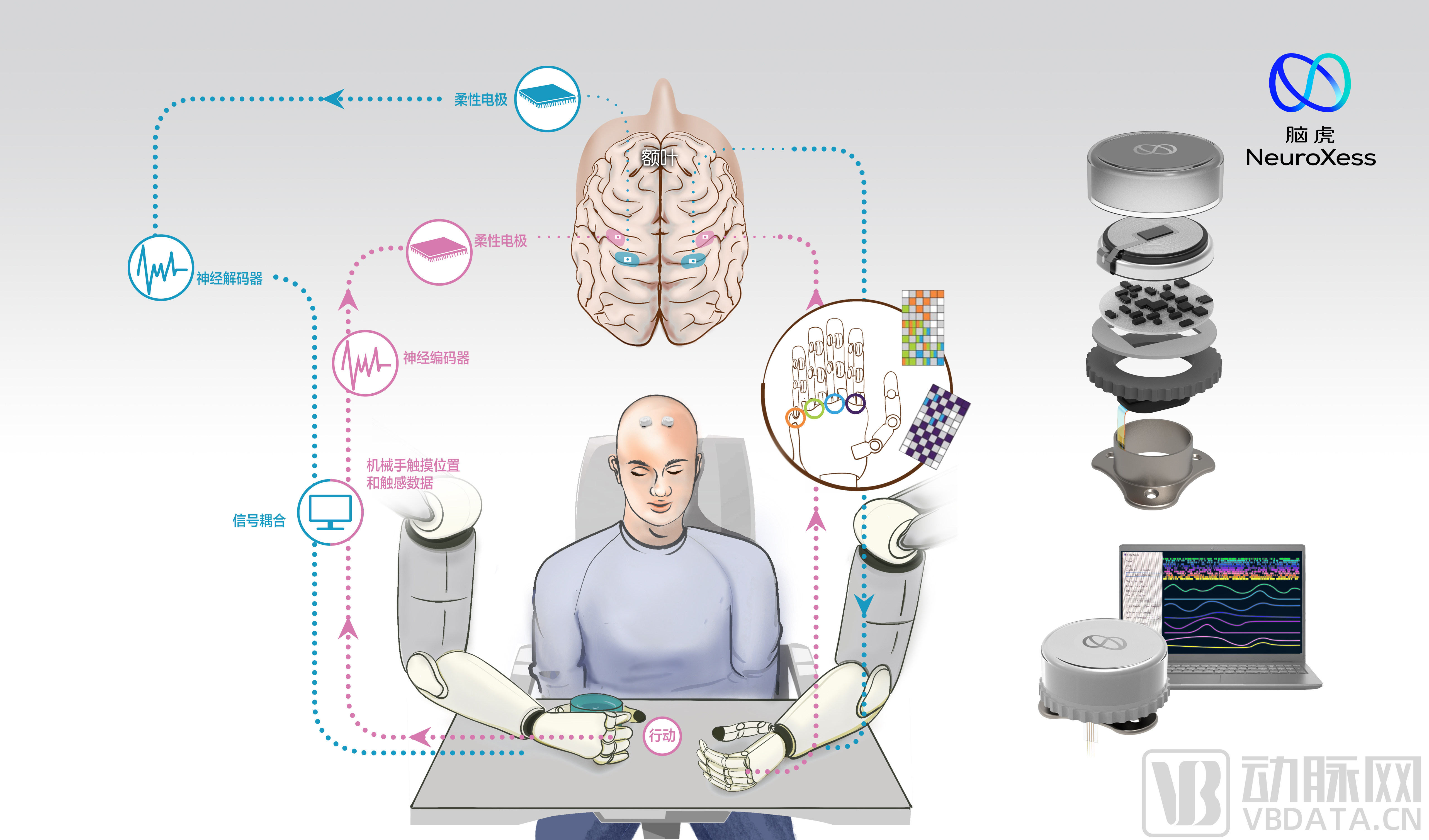 NeuroXess（脑虎）电极场景原理和产品图.jpg