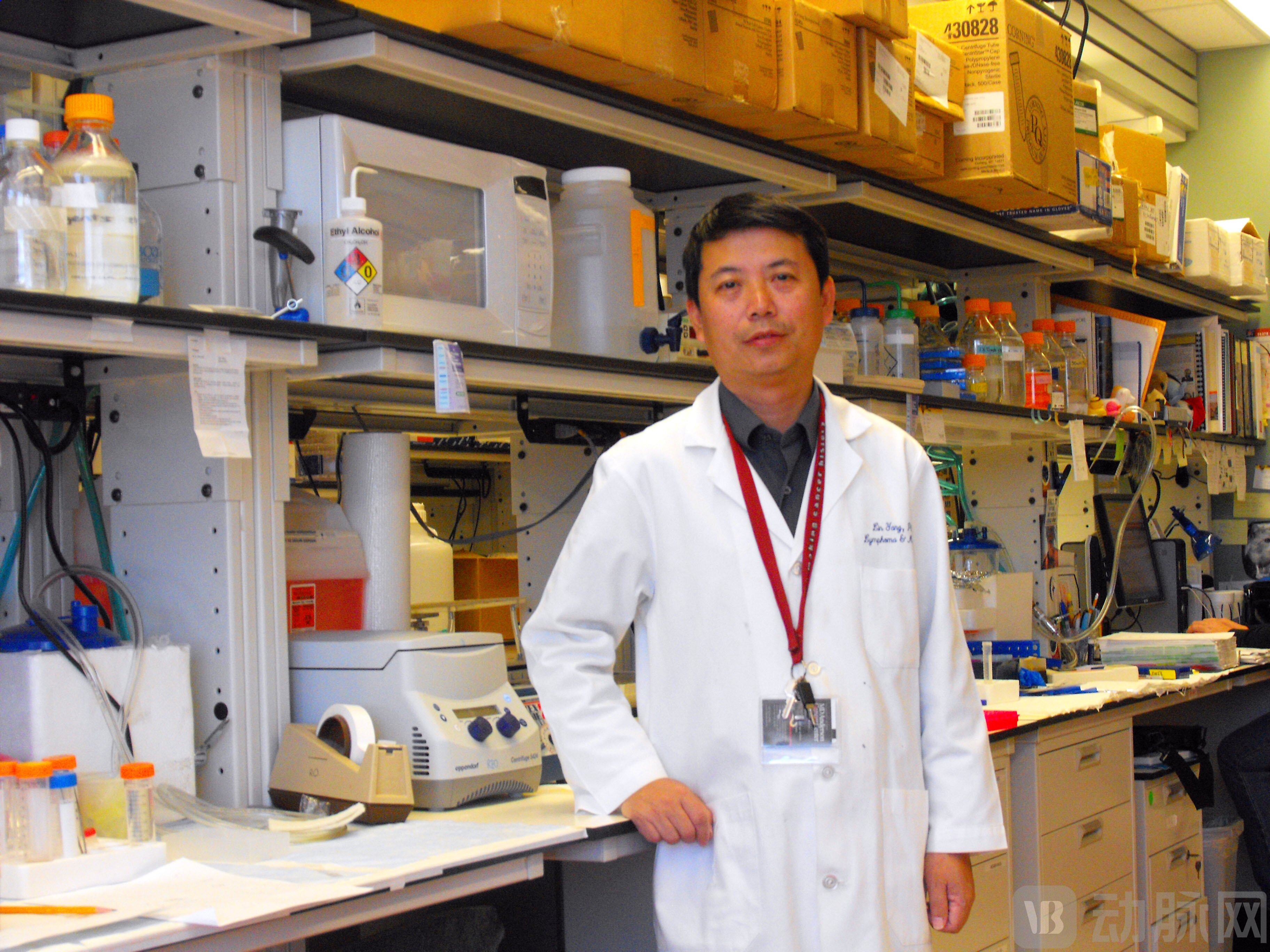 杨林在实验室.jpg
