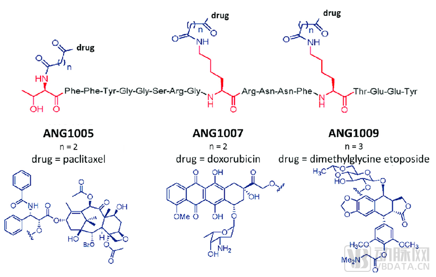 The-structure-of-ANG1005-ANG1007-and-ANG1009-6-The-3-amino-acids-that-can-be-used-as.png