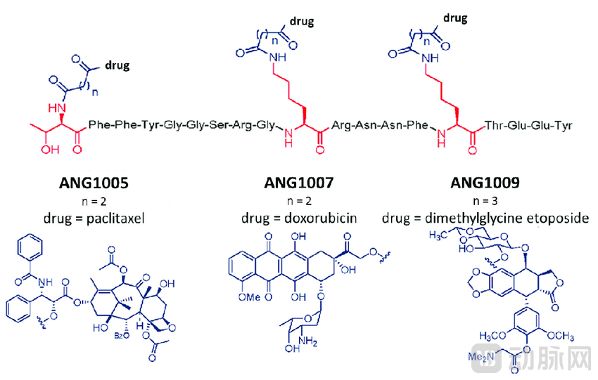 The-structure-of-ANG1005-ANG1007-and-ANG1009-6-The-3-amino-acids-that-can-be-used-as.png