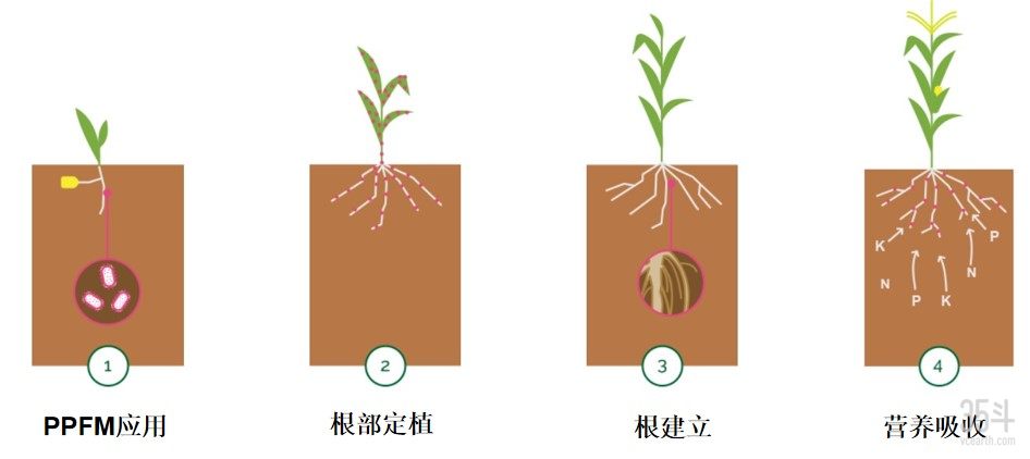 流程图（中）.jpg