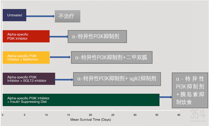 0存活时间.png