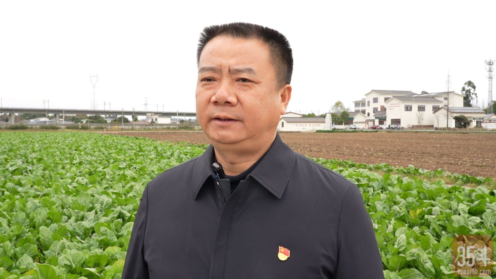 杨武云 四川在线.jpg