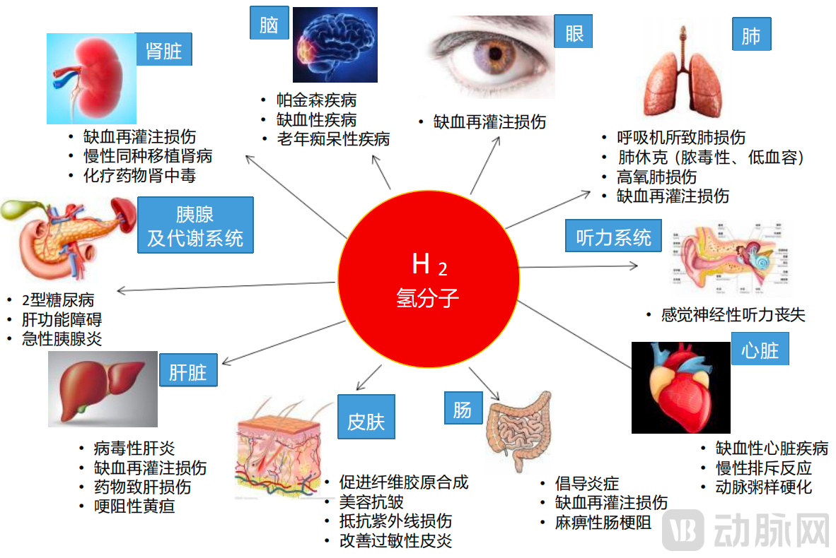 图片56.png