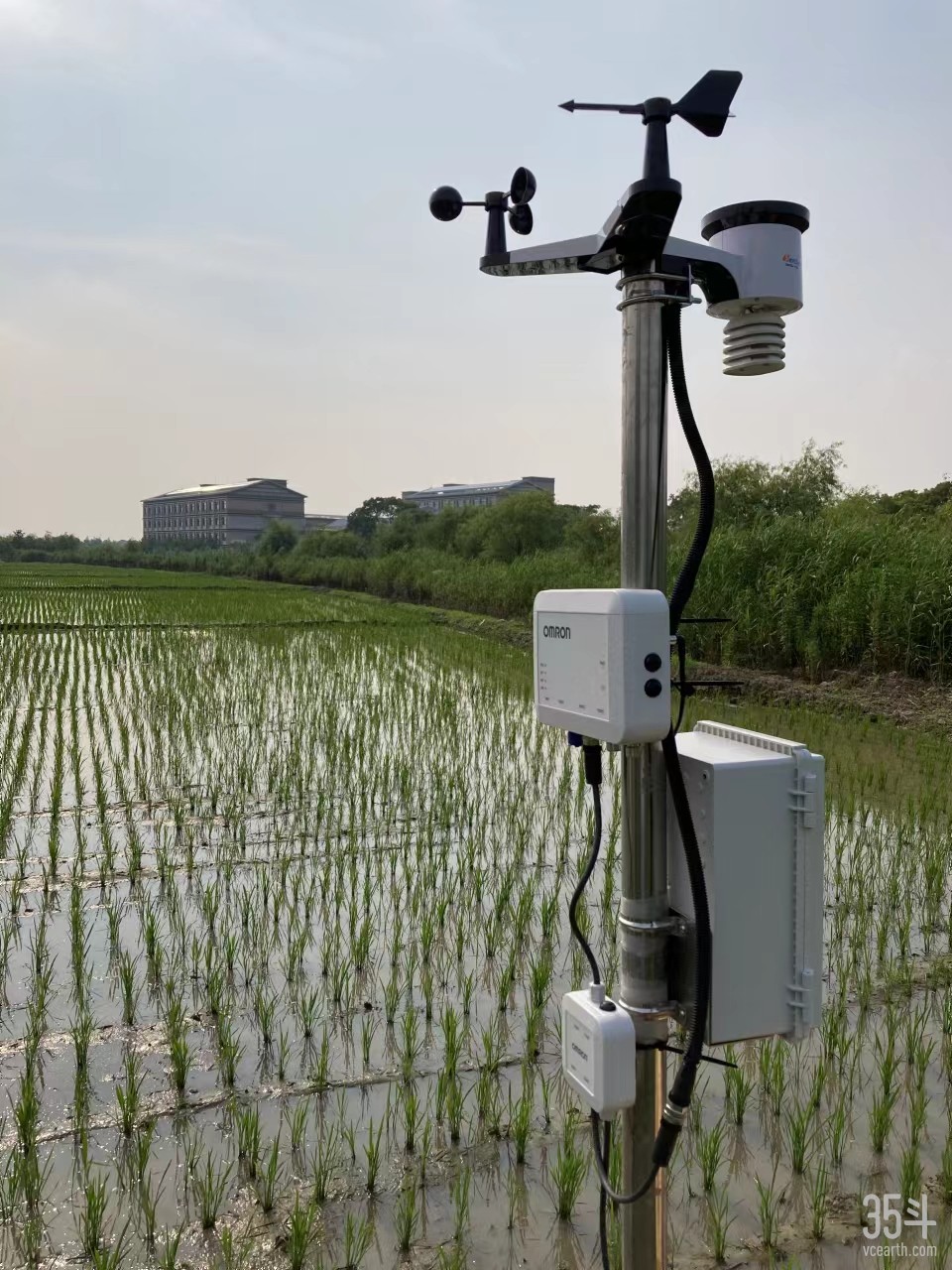 露天环境监测系统（应用于水稻种植中）.jpg