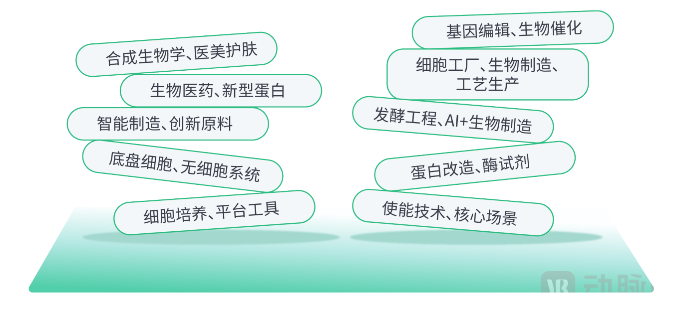 undefined DM_20251121100404_023.PNG