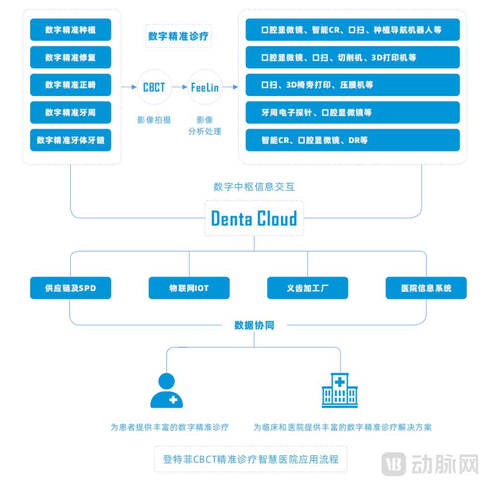 登特菲精准诊疗应用流程.png