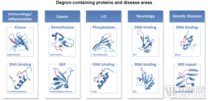 含degron的蛋白质和疾病区域（图源：Monte Rosa招股书）.png