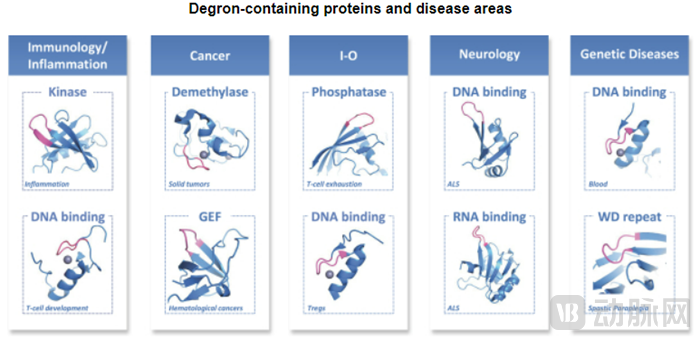 含degron的蛋白质和疾病区域(图源:Monte Rosa招股书).png