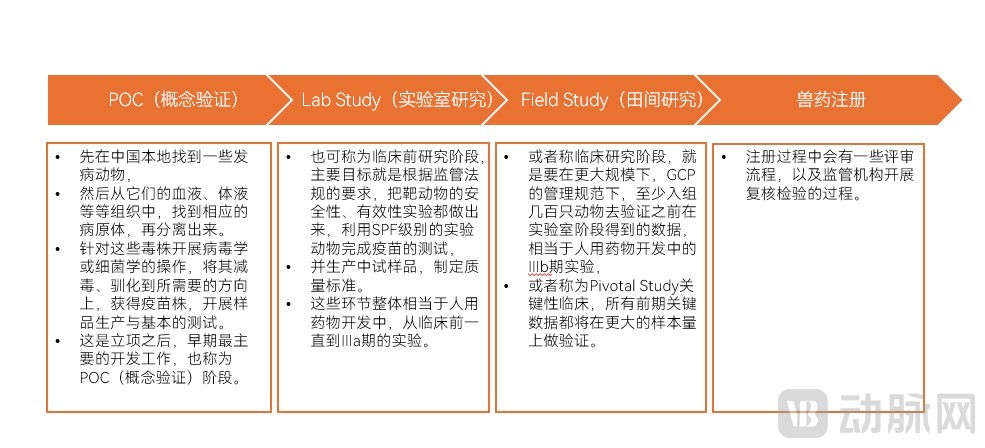 疫苗研发流程.png