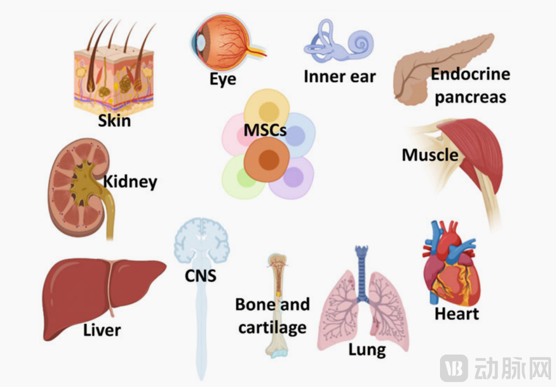 屏幕截图 2024-03-28 114052.png