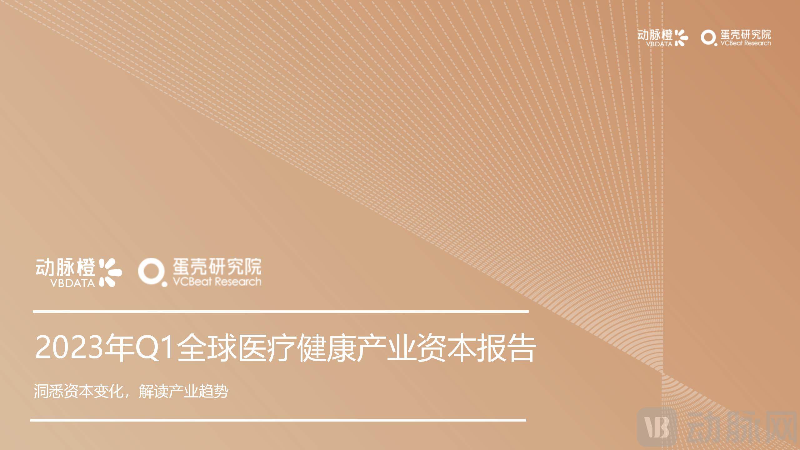 （三校完成）2023年Q1全球医疗健康产业资本报告_01.jpg