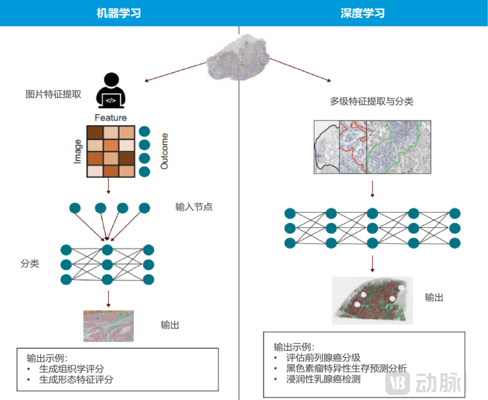 图片 26.png