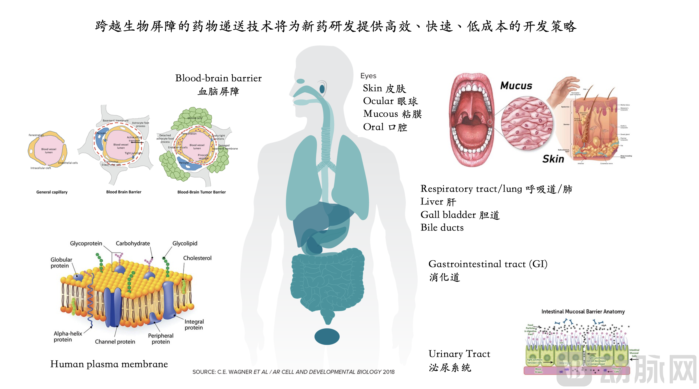 微信图片_20210727151603.png