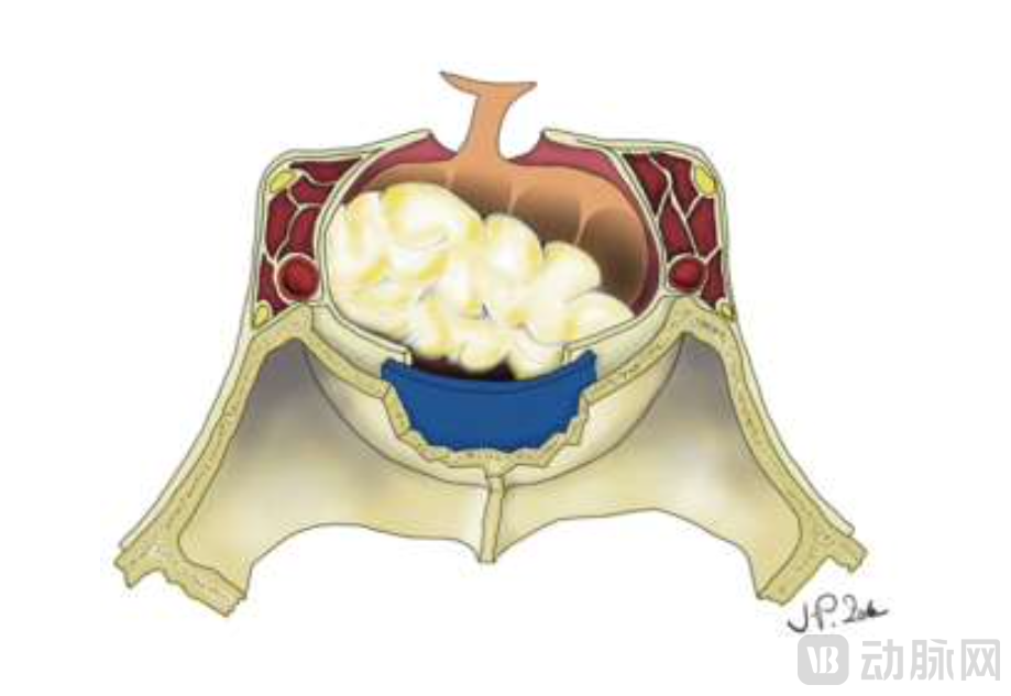 Screen Shot 2023-09-26 at 09.36.50.png