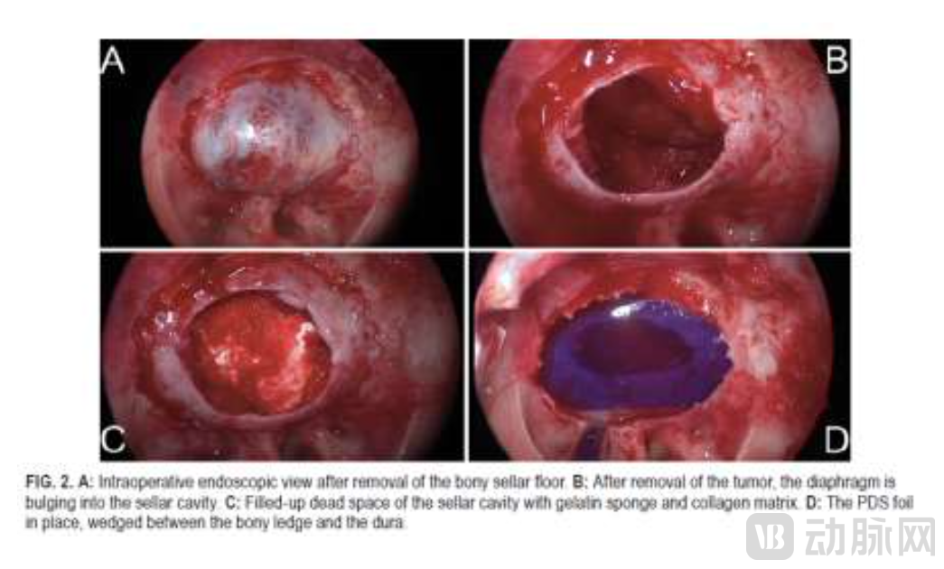 Screen Shot 2023-09-26 at 09.37.04.png