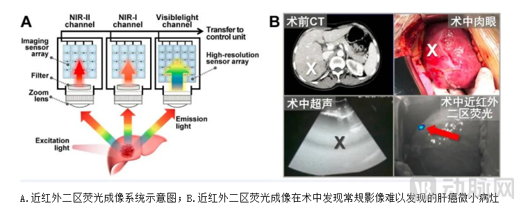 近红外二区.png