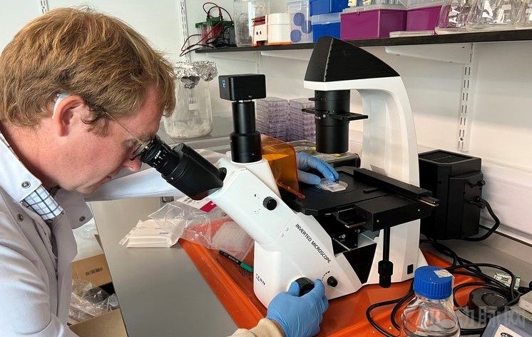 1ImmTune Therapies.jpg